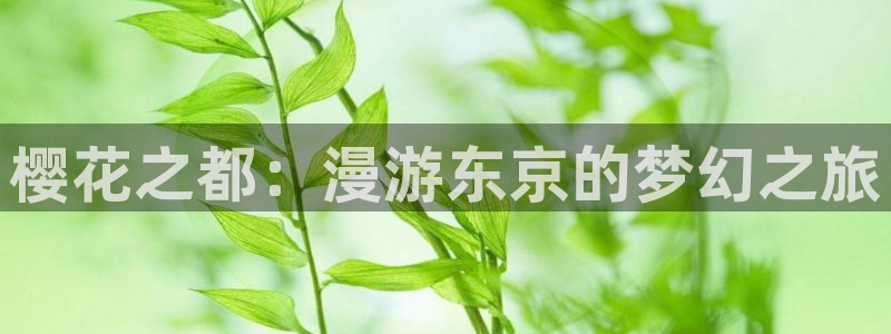 backstage韩漫免费观看：樱花之都：漫游东京的梦幻之旅