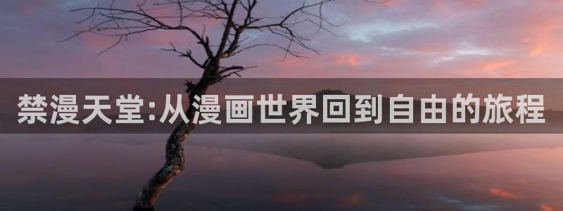 colomanage漫画官网：禁漫天堂:从漫画世界回到自由的旅程