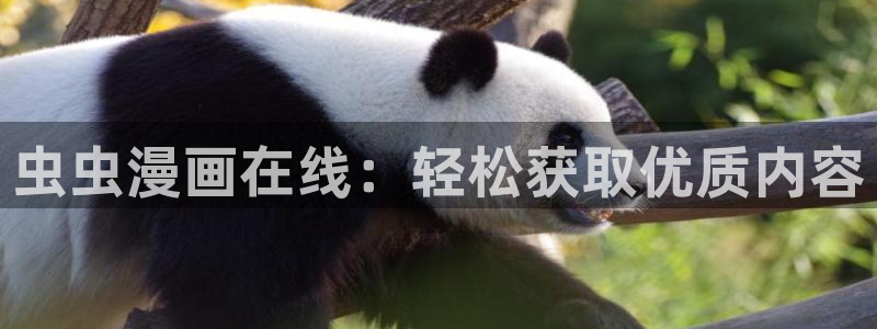 虫虫漫画下载网：虫虫漫画在线：轻松获取优质内容
