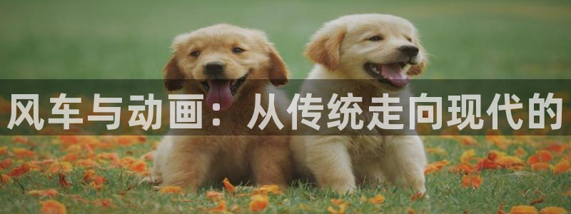虫虫漫画网：风车与动画：从传统走向现代的