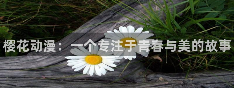 managereader漫画官网入口：樱花动漫：一个专注于青春与美的故事