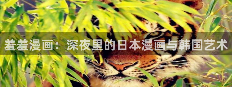 managereader漫画官网入口：羞羞漫画：深夜里的日本漫画与韩国艺术