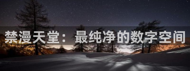 拷贝漫画 copymanager.ory网站：禁漫天堂：最纯净的数字空间