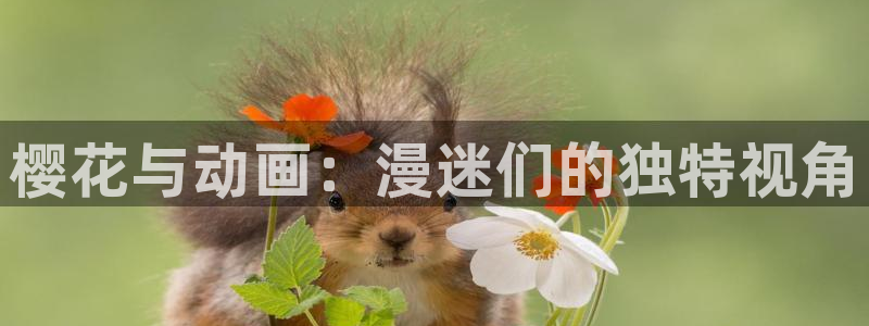 虫虫漫画官网入口老版本：樱花与动画：漫迷们的独特视角