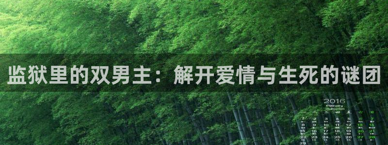 managereader漫画官网入口：监狱里的双男主：解开爱情与生死的谜团